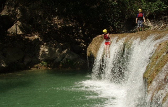 Al agua patos